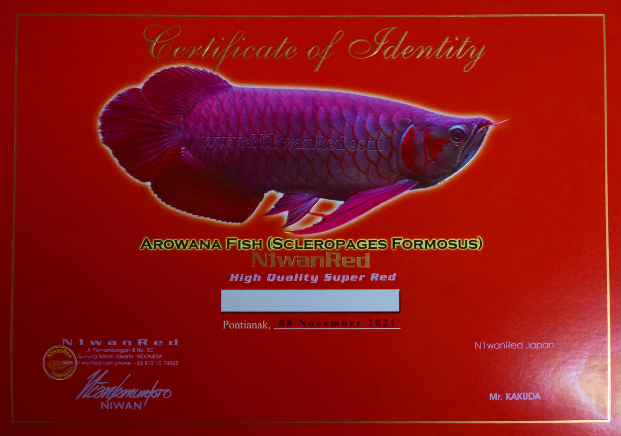 Certificate of Identify